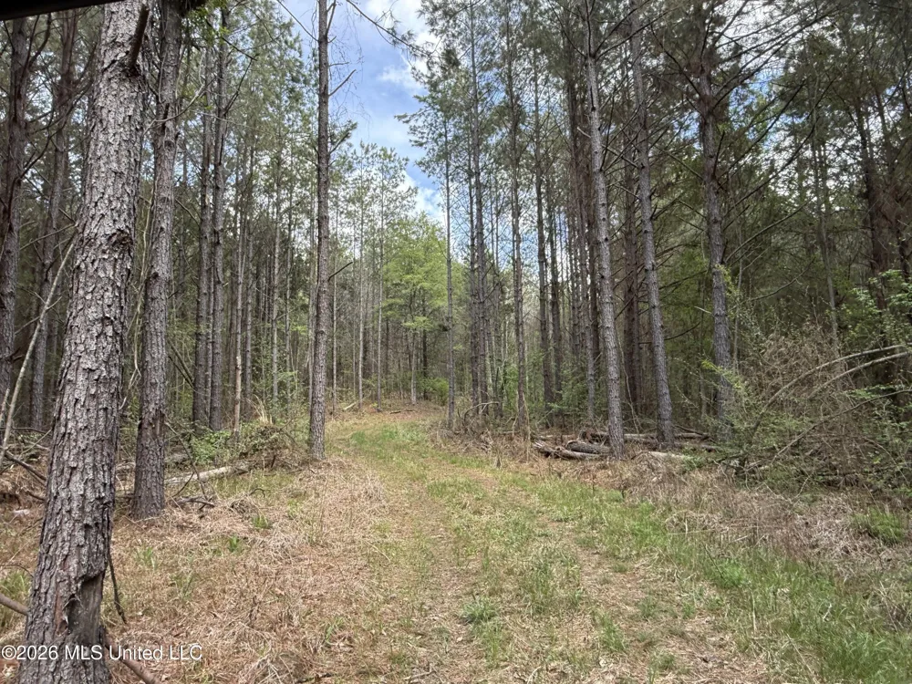 Seymour Road Kilmichael, MS 39747