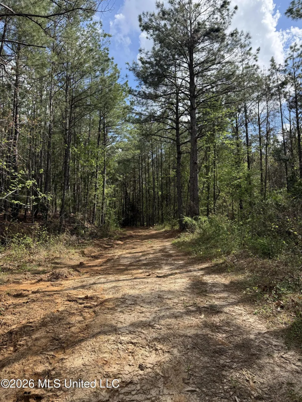 Seymour Road Kilmichael, MS 39747