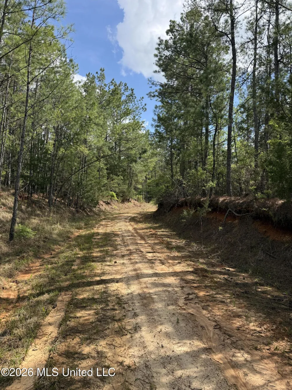 Seymour Road Kilmichael, MS 39747