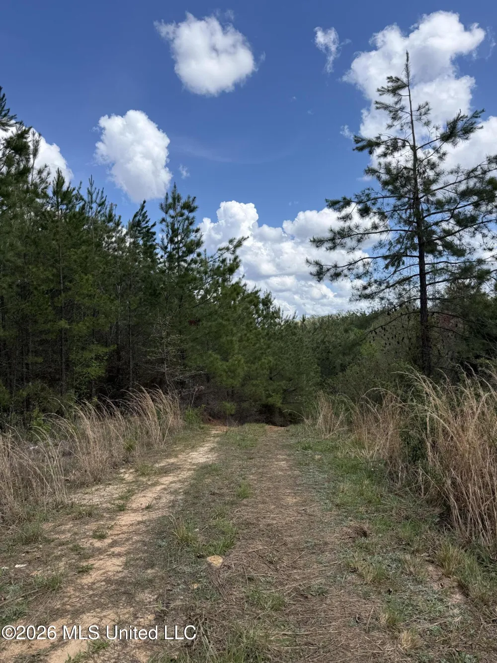 Seymour Road Kilmichael, MS 39747