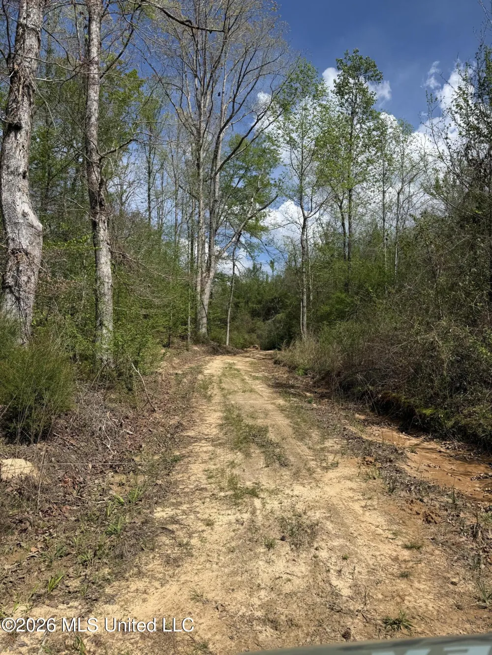 Seymour Road Kilmichael, MS 39747