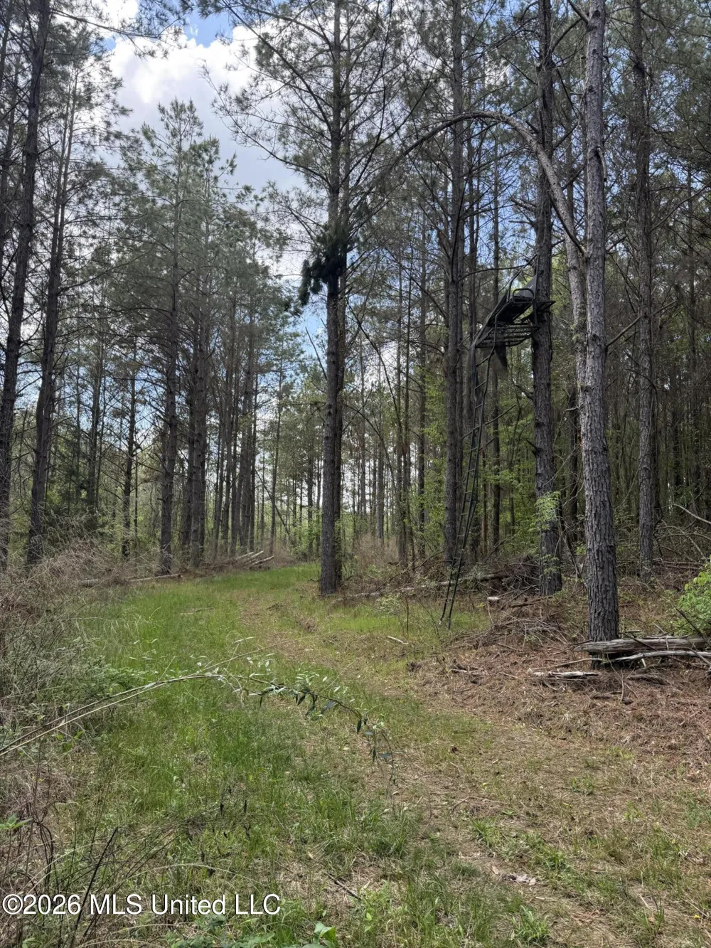 Seymour Road Kilmichael, MS 39747