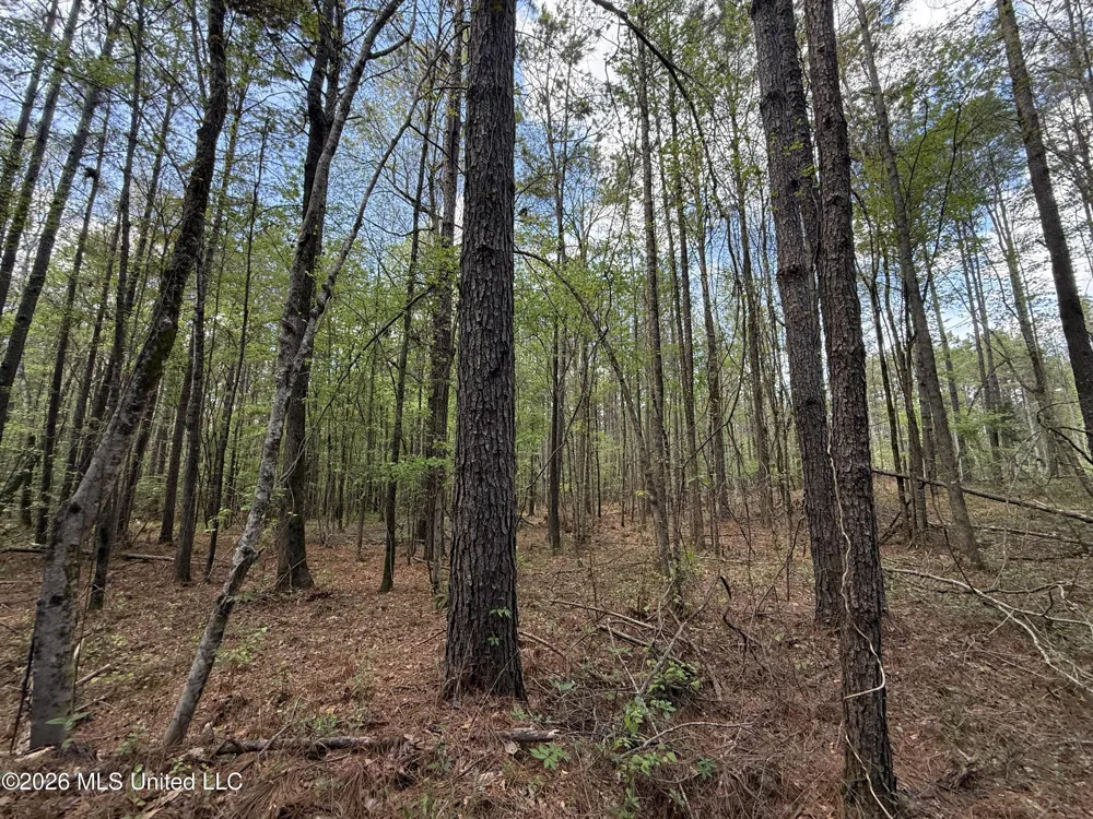 Seymour Road Kilmichael, MS 39747