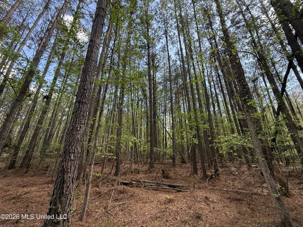 Seymour Road Kilmichael, MS 39747