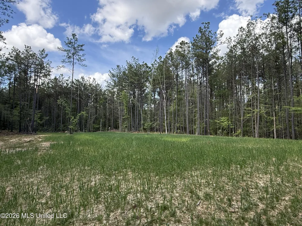 Seymour Road Kilmichael, MS 39747