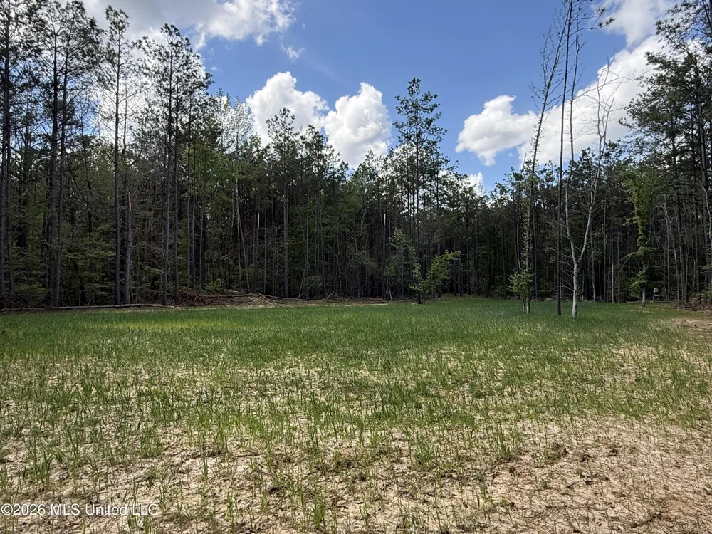 Seymour Road Kilmichael, MS 39747