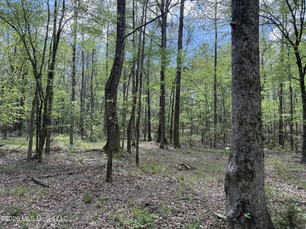 Seymour Road Kilmichael, MS 39747
