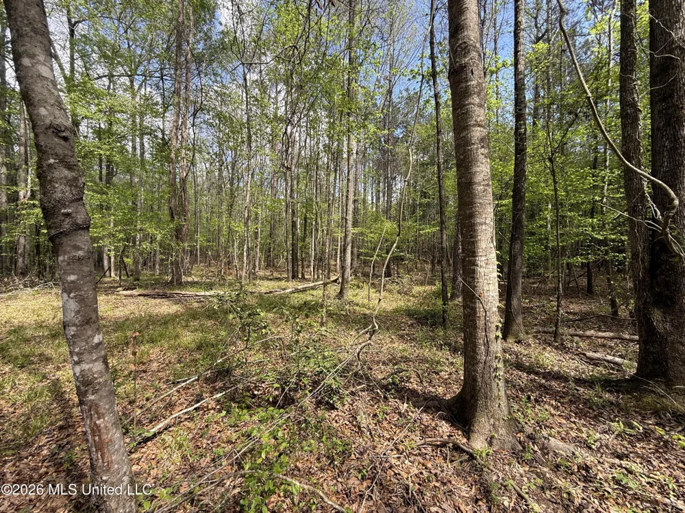 Seymour Road Kilmichael, MS 39747