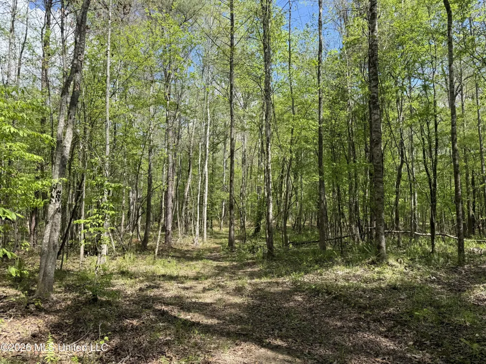Seymour Road Kilmichael, MS 39747