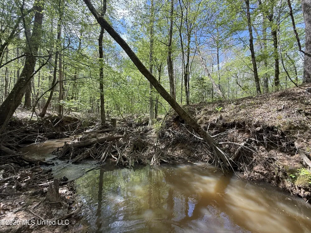 Seymour Road Kilmichael, MS 39747