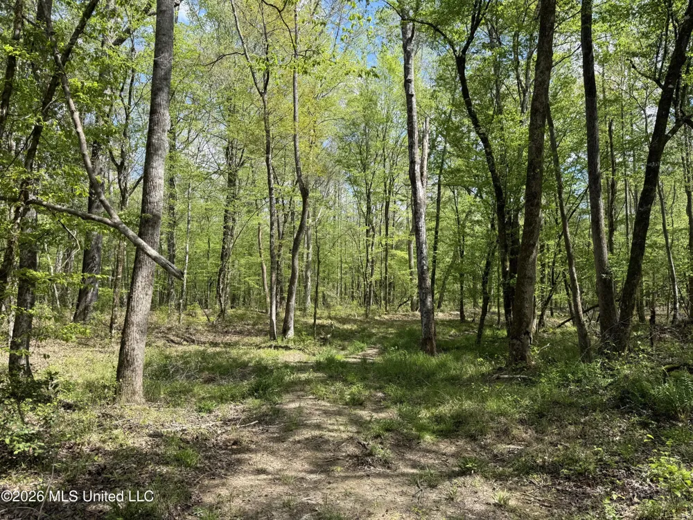 Seymour Road Kilmichael, MS 39747
