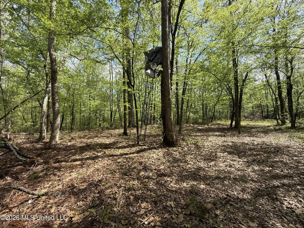 Seymour Road Kilmichael, MS 39747