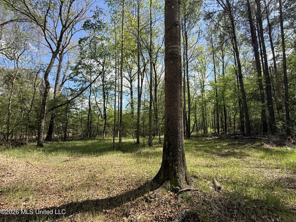 Seymour Road Kilmichael, MS 39747