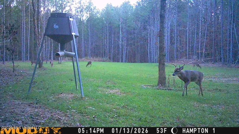 Seymour Road Kilmichael, MS 39747