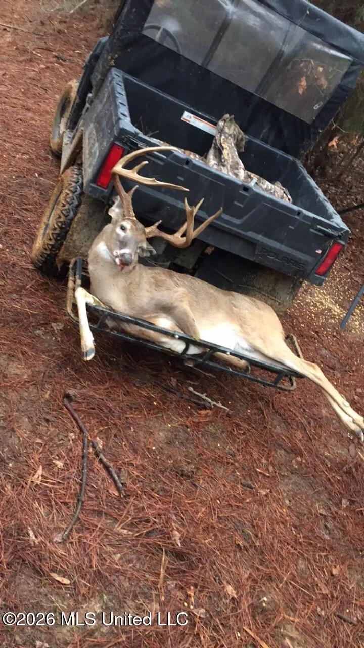 Seymour Road Kilmichael, MS 39747