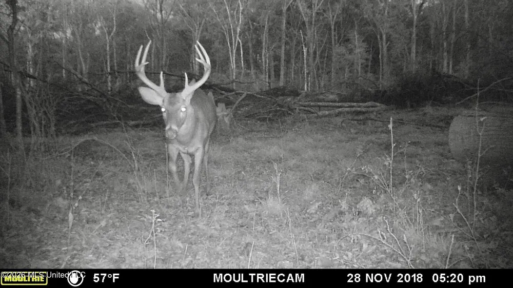 Seymour Road Kilmichael, MS 39747