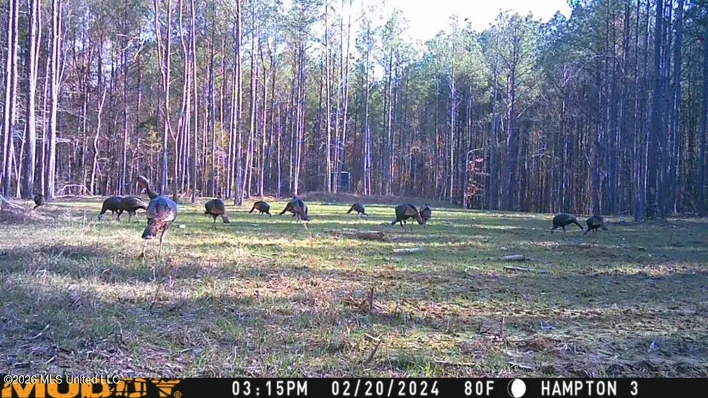 Seymour Road Kilmichael, MS 39747