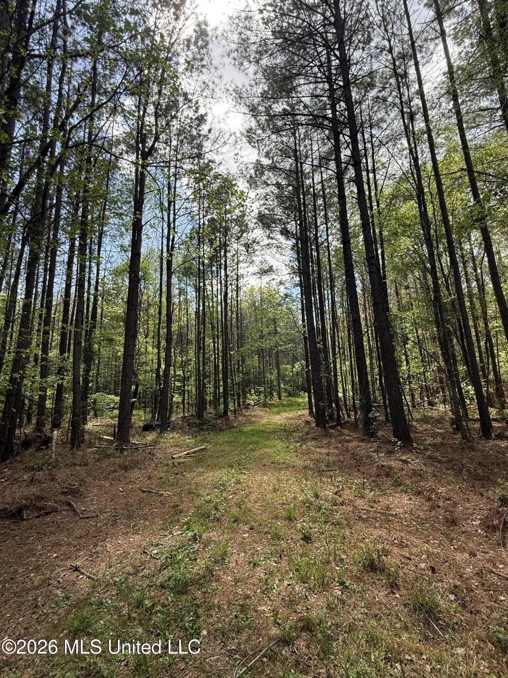 Seymour Road Kilmichael, MS 39747