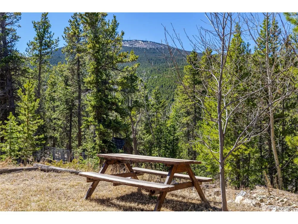 260 Pine Drive Idaho Springs, CO 80452