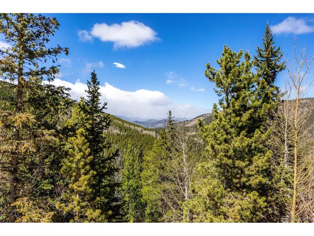 260 Pine Drive Idaho Springs, CO 80452