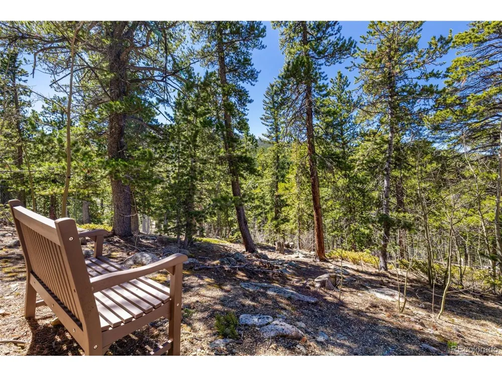 260 Pine Drive Idaho Springs, CO 80452