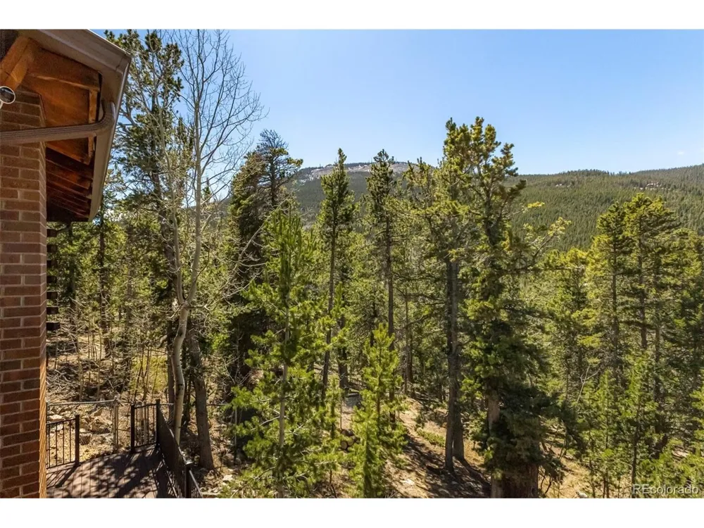 260 Pine Drive Idaho Springs, CO 80452