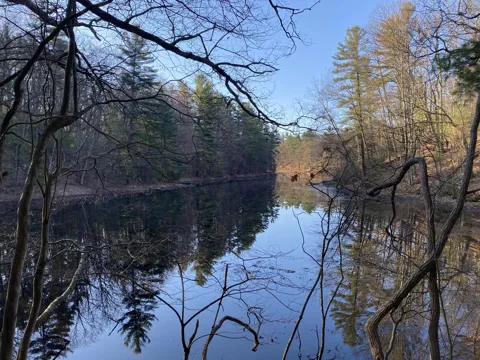 Mill Pond Trail