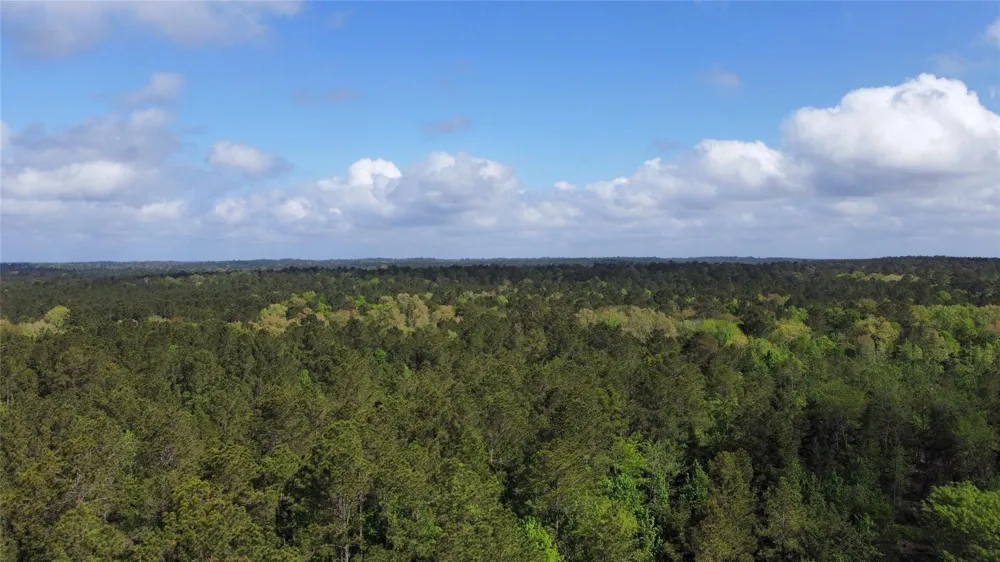 1648 Timber Road 23 Chester, TX 75936