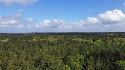 1648 Timber Road 23