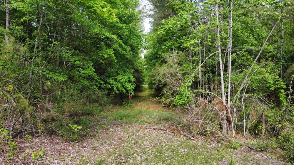 1648 Timber Road 23 Chester, TX 75936