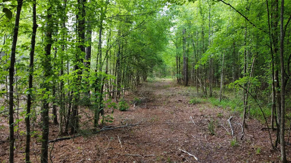 1648 Timber Road 23 Chester, TX 75936