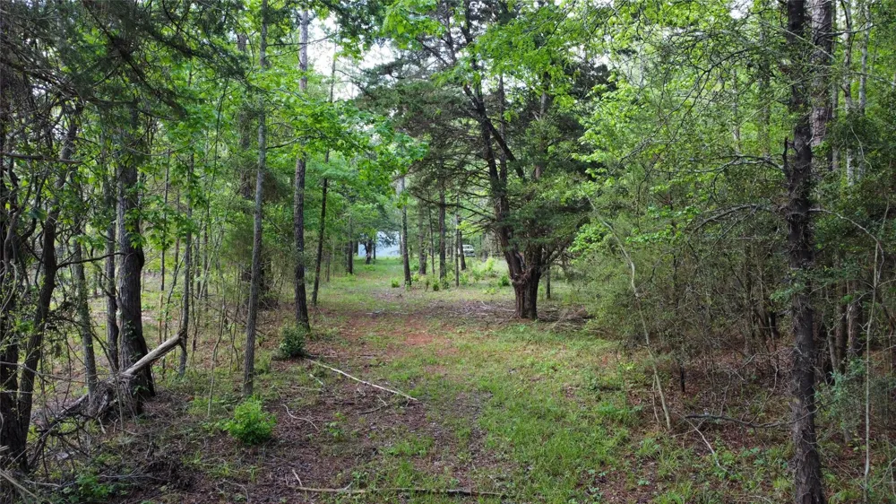 1648 Timber Road 23 Chester, TX 75936