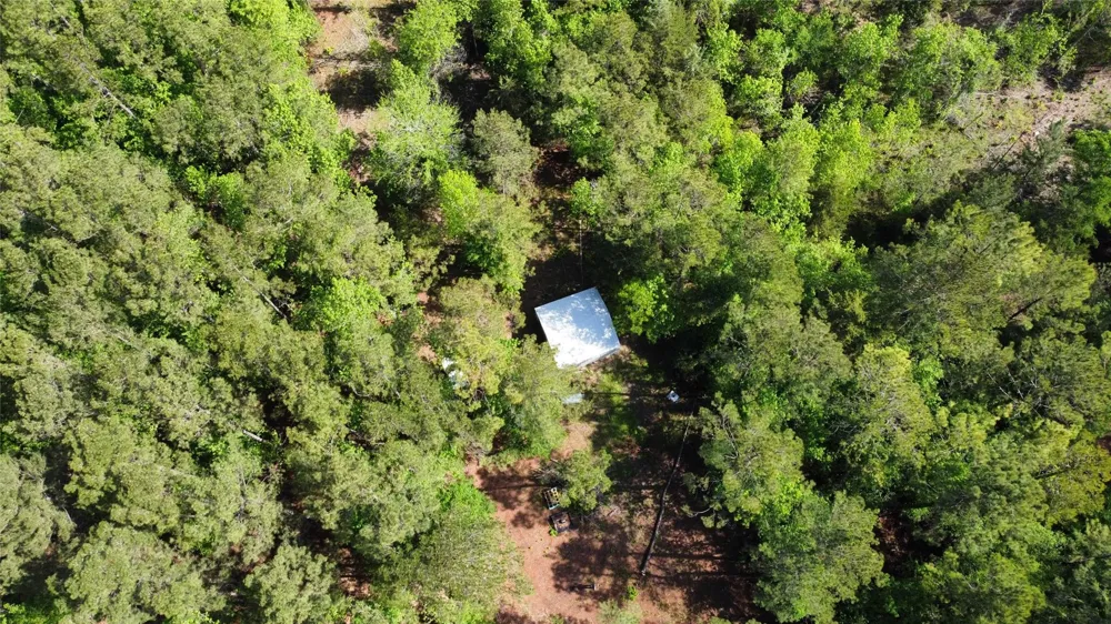 1648 Timber Road 23 Chester, TX 75936