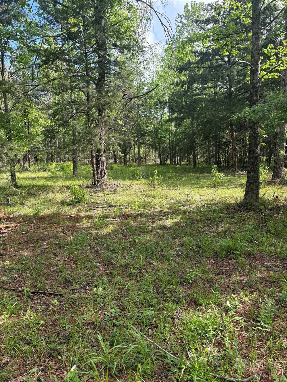 1648 Timber Road 23 Chester, TX 75936
