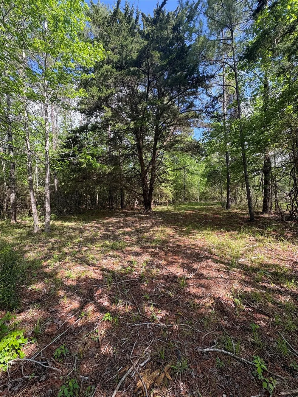 1648 Timber Road 23 Chester, TX 75936
