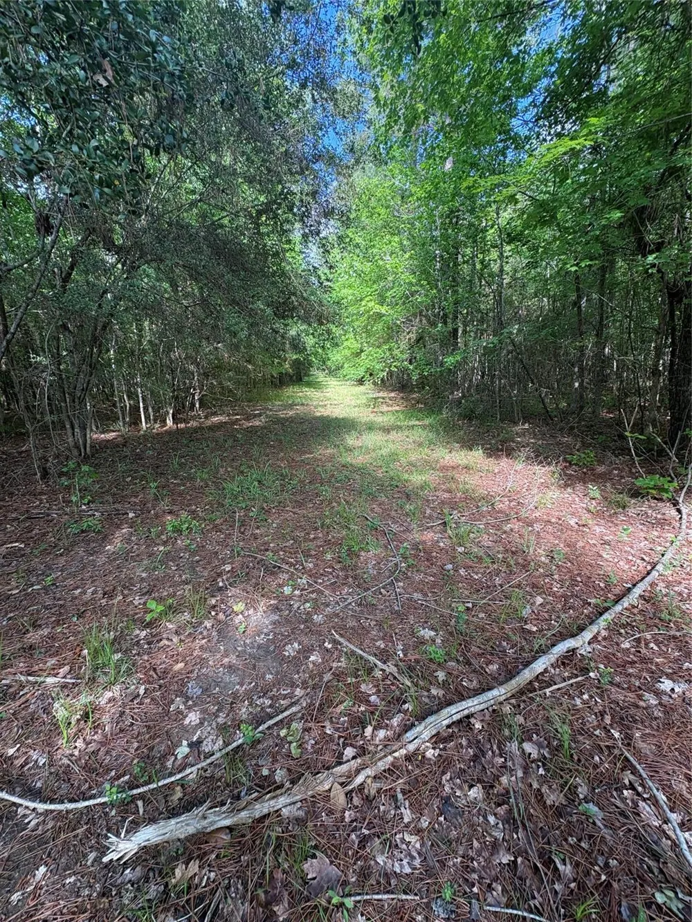 1648 Timber Road 23 Chester, TX 75936