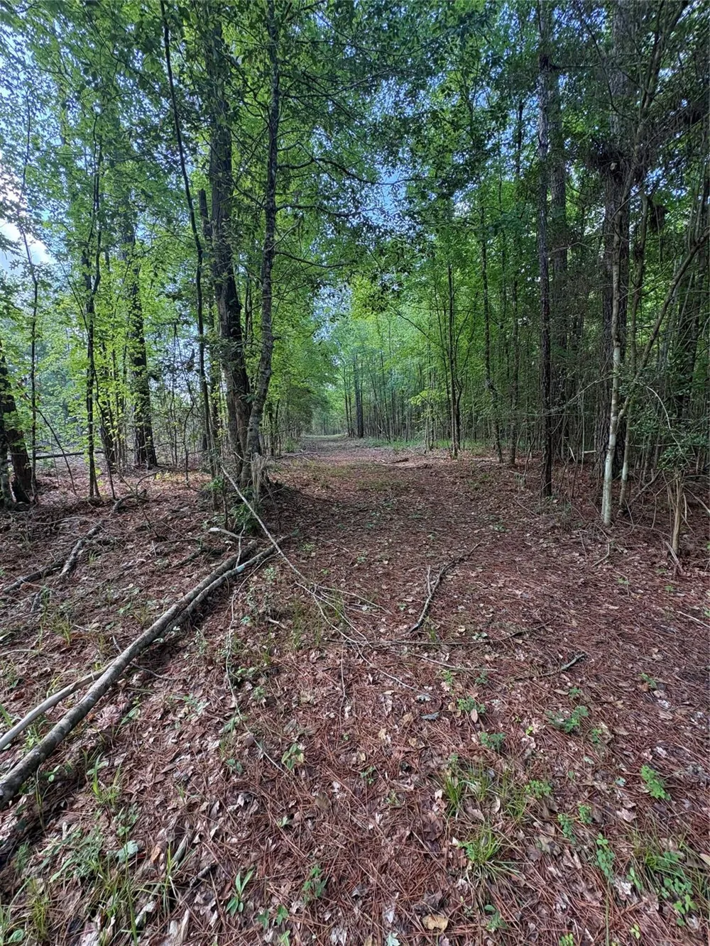 1648 Timber Road 23 Chester, TX 75936