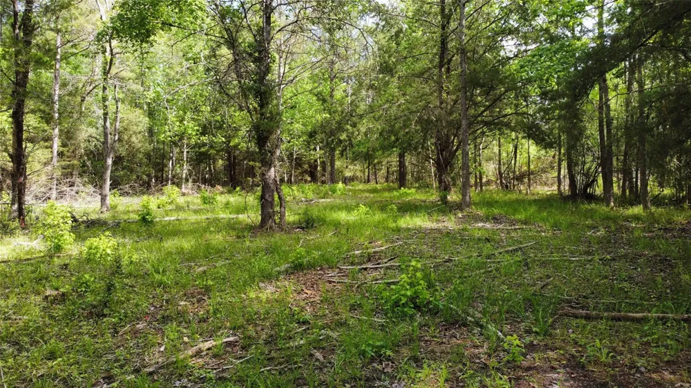 1648 Timber Road 23 Chester, TX 75936