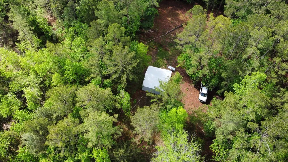 1648 Timber Road 23 Chester, TX 75936