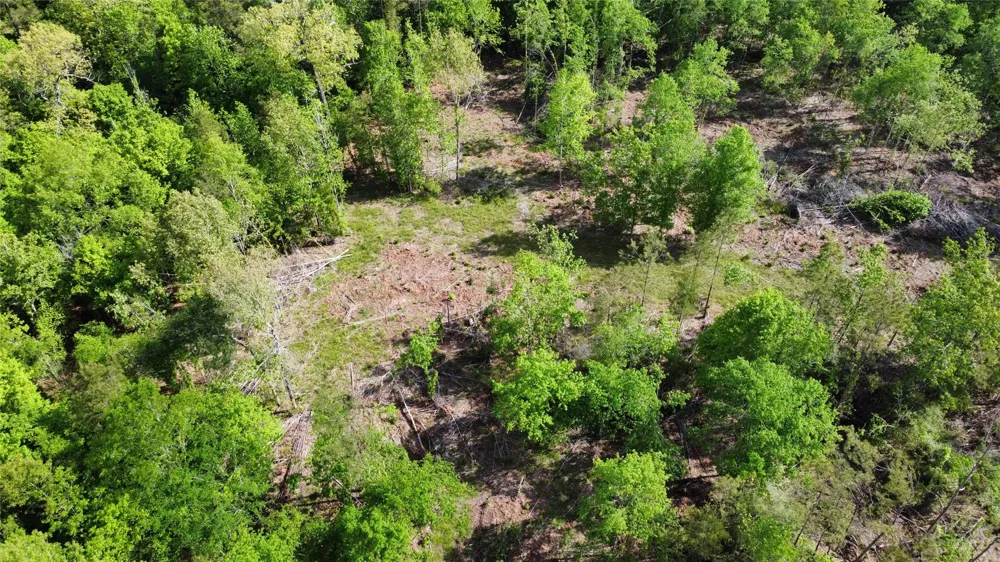 1648 Timber Road 23 Chester, TX 75936