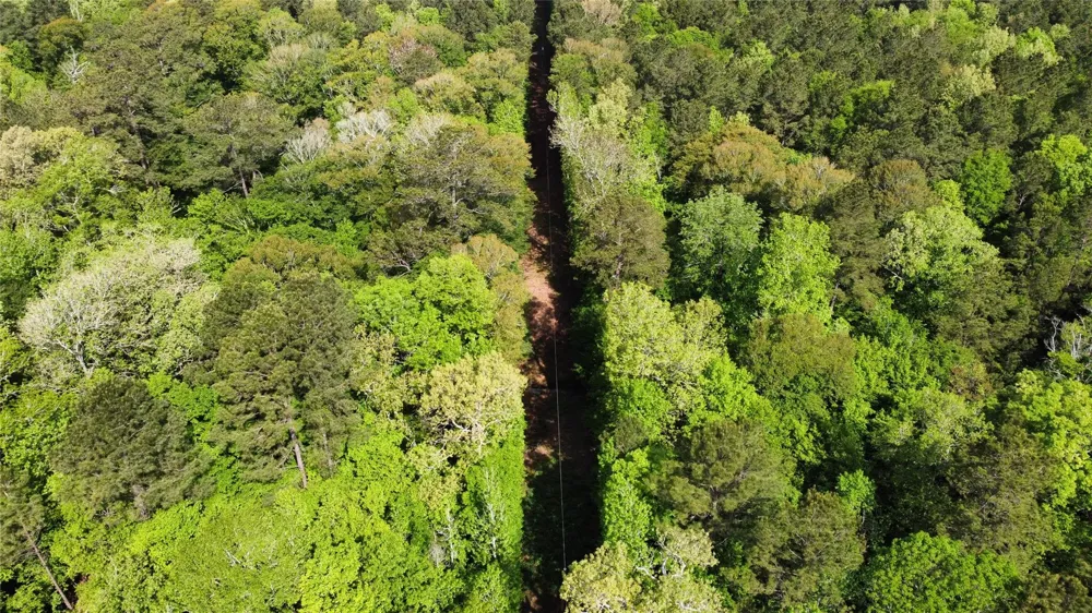 1648 Timber Road 23 Chester, TX 75936