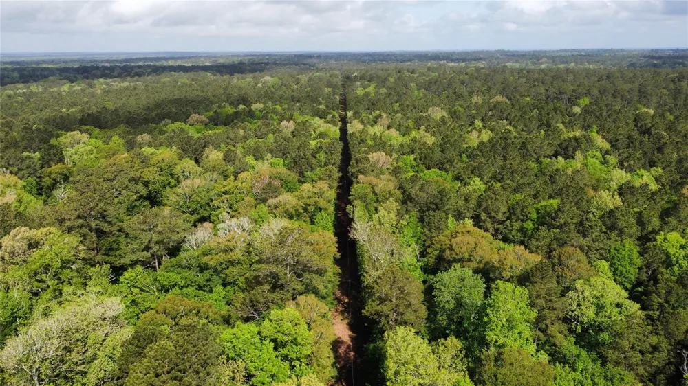 1648 Timber Road 23 Chester, TX 75936