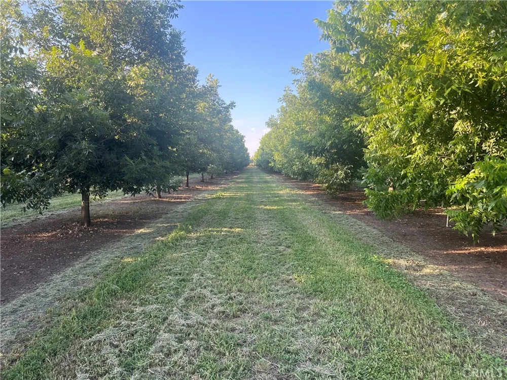 14450 Meridian Road Chico, CA 95973