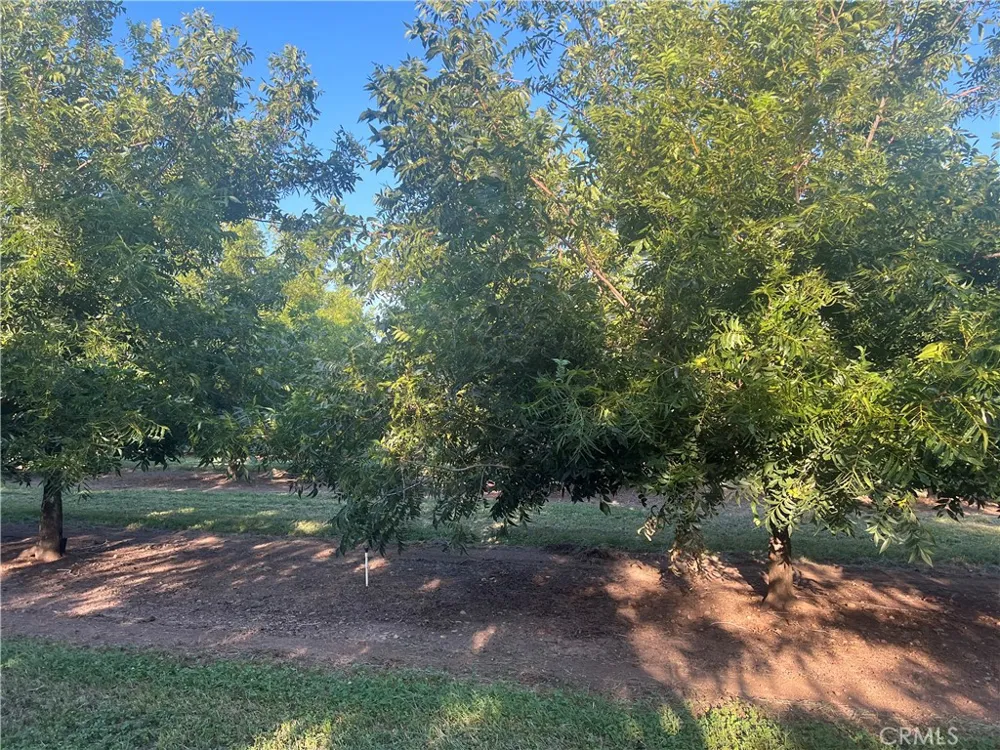 14450 Meridian Road Chico, CA 95973