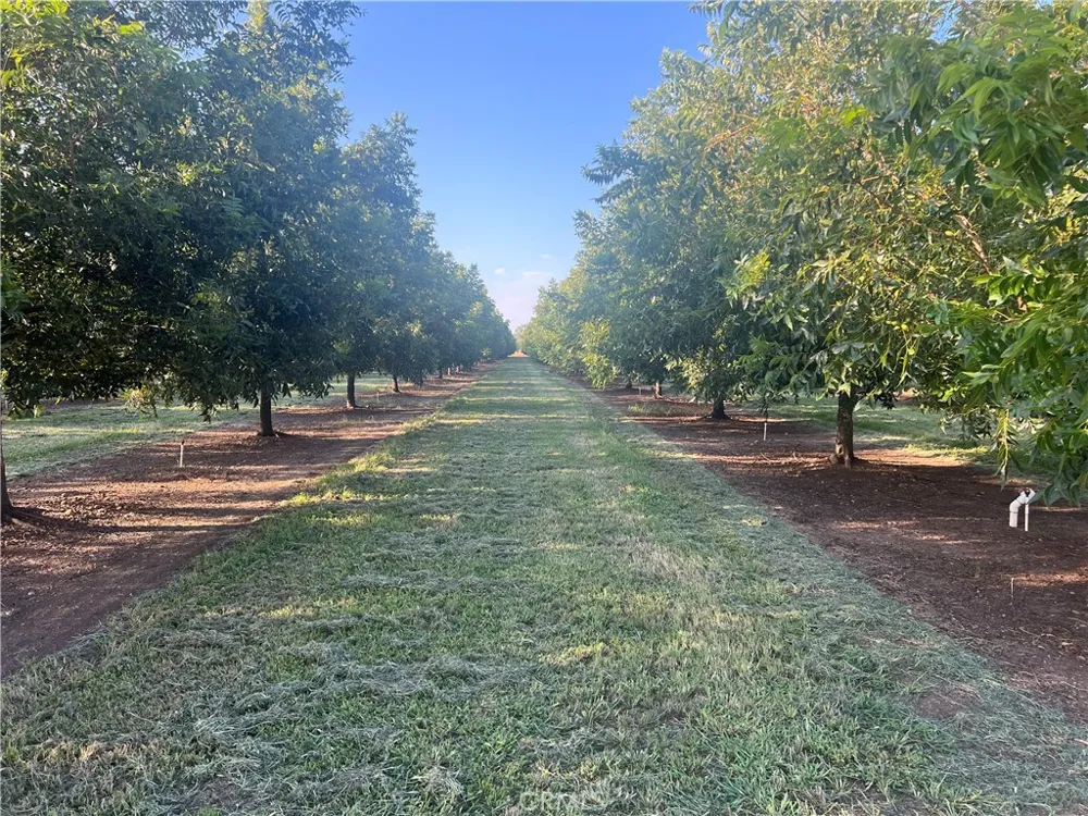 14450 Meridian Road Chico, CA 95973