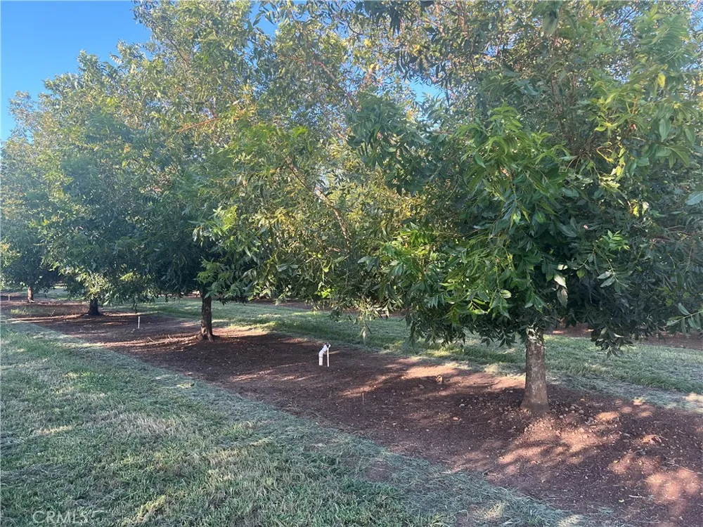 14450 Meridian Road Chico, CA 95973