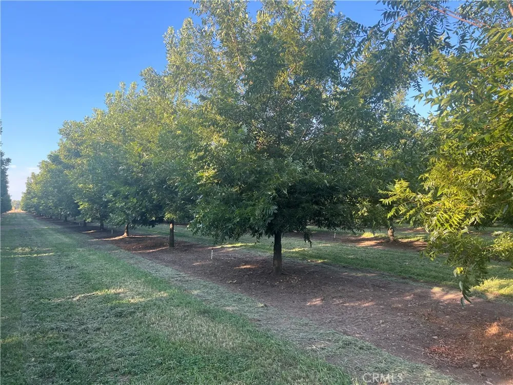 14450 Meridian Road Chico, CA 95973