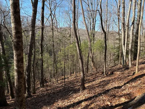 Lot 62 Gobblers Knob/Laurel