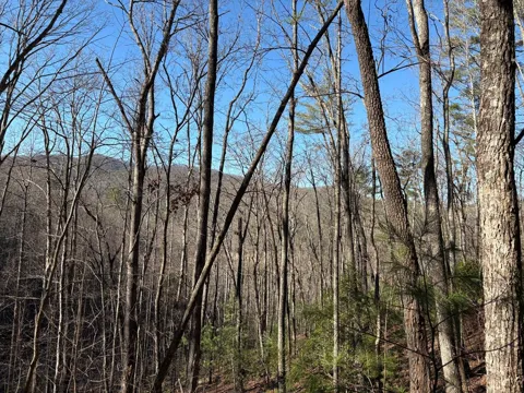 Lot 61 Laurel Trail