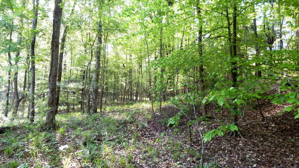 2743 Sweethome Road Grenada, MS 38901